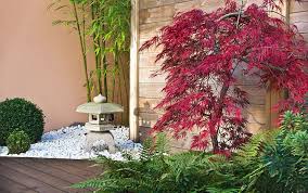 See more ideas about japanese garden, small japanese garden, zen garden. Design Ideas For A Japanese Garden David Domoney