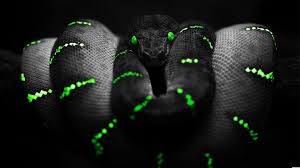 Download hd black wallpapers best collection. Black Wallpapers 1920x1080 Wallpaper Cave