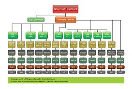 organization strucure