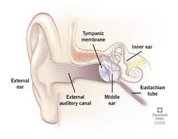 Ear infections often go away on their own and. Ear Infection Otitis Media Symptoms Causes Prevention Treatment