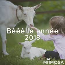 Check spelling or type a new query. 3 Ans Avec Miimosa Tandis Que 2018 Vient De Pointer Le By Miimosa L Oeuf