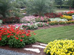 Costa Farms Winter Trial Garden Open House Scheduled For Week Of January 14th Perishable News