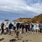 Torquay to Jan Juc Surf Coast Trail – Easy 10km event image