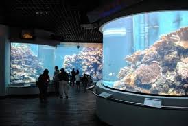 What restaurants are near national museum of marine biology and aquarium? Best Aquariums Asia Aquarium Architecture Public Aquarium Aquarium Design