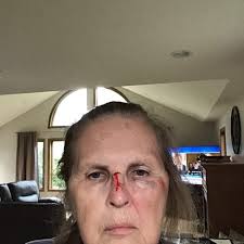 TOP 10 BEST Dog Training in Midland, MI