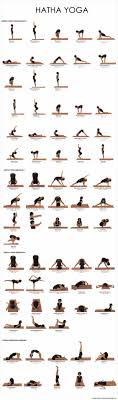 Urban Wired Yoga Postures Types Of Yoga Yoga Routine