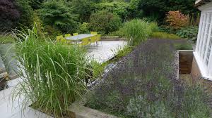 Small But Mighty Gardens In Miniature From Anthony Paul Landscaping Stylish Eve Landscape Design Modern Garden Design Modern Garden