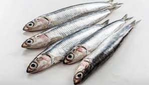 Si tratta di un piatto semplice ed economico ideale anche per chi non è molto esperto in. Ricetta Come Pulire Le Acciughe E Le Sarde Le Ricette Di Buonissimo