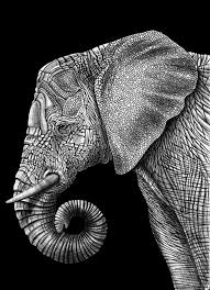 1001 Photos De Dessin Noir Et Blanc Qui Vont Vous Aider A Ameliorer Votre Technique Dessin Noir Et Blanc Illustration D Elephant Illustrations D Encre