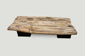 Super Smooth Petrified Wood Coffee Table 9mry Andrianna Shamaris Coffee Table Wood Coffee Table Petrified Wood