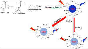Highly Photoluminescent N P Doped Carbon Quantum Dots As A Fluorescent Sensor For The Detection Of Dopamine And Temperature Sciencedirect