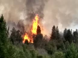 Este incendio se origina justamente en un toma que está en la entrada de la ruta 6 y se complica en el barrio el estamos afuera del municipio, exigiendo respuestas concretas para parar el incendio. Dan Por Contenido El Incendio Forestal En Cercanias De El Bolson