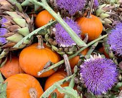 2020 Best Pumpkin Patch Guide For Metro Vancouver