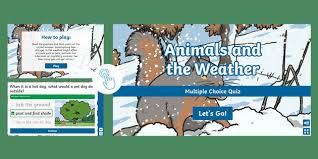 You can use this swimming information to make your own swimming trivia questions. Animals And The Weather Quiz