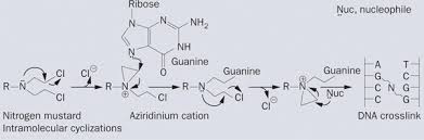 Image result for Cyclophosphamide