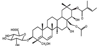 Structure of gymnemic acid. | Download Scientific Diagram