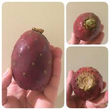 The cactus fruit, sometimes called prickly pears are very sweet and can be eaten raw, right off of the plant. Cactus Fruit Prickly Pear That Was Quite A Surprise Trinhberry S Blog