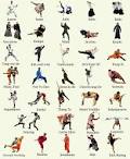 Martial arts fighting styles