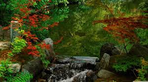 Kyoto Garden Japan 4k Wallpaper Kyoto Garden Japanese Water Garden Water Garden