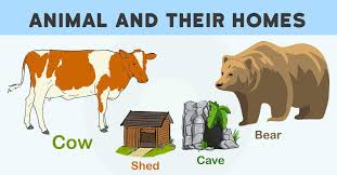 Let's learn about animals and their homes in this educational song for kids. Animal And Their Homes With Pictures Download Pdf Ppt