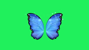 Download now ilustrasi serangga hewan bunga kupu kupu tangan ditarik. Butterfly Animation Colorful Stok Video Butterfly Animation Colorful Rekaman Bebas Royalti Depositphotos