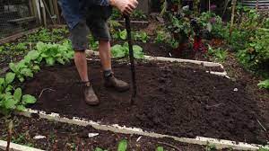 But it has gained a lot of popularity over the past decade or so. How To Dig A Garden Bed Youtube