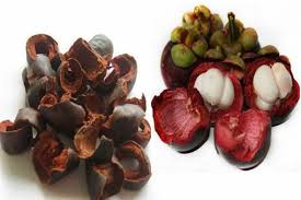 Manfaat buah manggis untuk kesehatan. Jual 100 Gram Kulit Buah Manggis Kering Utk Herbal Di Lapak Green Seed Bukalapak