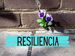 Dios está contigo en todo. Resiliencia Concepto Estrategias Ejemplos Costos Y Mas