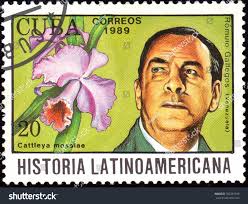 52 resultados de imágenes, fotos de stock e ilustraciones libres de  regalías para Romulo gallegos