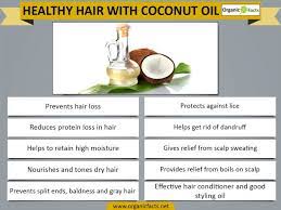 How to apply coconut oil to hair? Coconut Oil For Hair Coconut Vietnam