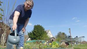 Dans L Oise Cultiver Son Jardin Familial Malgre Le Coronavirus