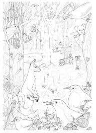 Land For Wildlife Colouring Pages Paperbark Writer