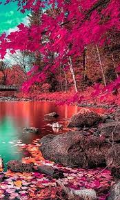 Autumn Beautiful Nature Wallpaper Nature Pictures Nature