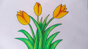 Selain bunga matahari, tentunya anda juga bisa memberikan bunga lainnya seperti bunga tulip untuk mewarnai gambar tentunya tidak perlu menggunakan pensil yang mahal, anda juga bisa mewarnai dengan pensil berwarna, crayon atau. Cara Menggambar Dan Mewarnai Bunga Tulip Menggambar Bunga Yang Mudah Untuk Pemula Youtube