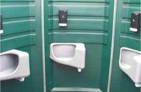 Deluxe flushing portable toilet units