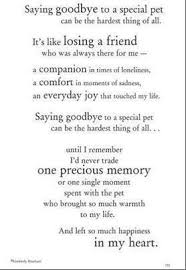 Saying Goodbye To A Special Pet Pet Poems Dog Quotes Pet Loss Grief
