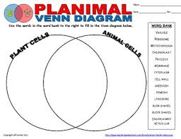 Maybe you would like to learn more about one of these? Plant Animal Cell Venn Diagram By Science Teacher Resources Tpt