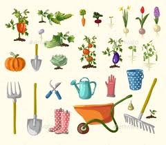 Vector Gardening Set Wedding Vector Art Garden Set Vector Flowers