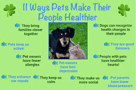 Pets also provide valuable companionship for older adults. Fun Pet Facts And Resources For Pet Owners Page 1 Of 0 Patriotic Pet Care