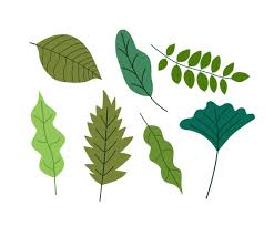 Download free leafs vectors and other types of leafs graphics and clipart at freevector.com! Flat Green Leaves Clipart Vector Vector Art Graphics Freevector Com