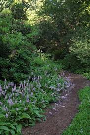 Wooded backyard forest backyard ideas. Let Nature Inspire Your Landscape Ideas For A Woodland Garden