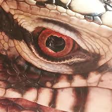 Unique anime reptile stickers featuring millions of original designs created and sold by independent artists. My Cersei Tegu Has Stunning Red Eyes Reptiles