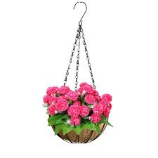 There's nothing quite like the colorful look of beautiful hanging baskets on your porch. Cheap Artificial Hanging Basket Plants Find Artificial Hanging Basket Plants Deals On Line At Alibaba Com