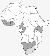 Download this free picture about map africa continent from pixabay's vast library of public domain images and videos. Published March 7 2018 At Poster Of Africa Continent Png Image Transparent Png Free Download On Seekpng