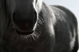 R&Atilde;&copy;sultat de recherche d'images pour 