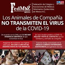 Comprehensive ramiro ibarra chess games collection, opening repertoire, tournament history, pgn download, biography and news. Ramiro Ibarra Ramirokr Twitter