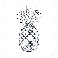 Ontdek de perfecte pineapple silhouette stockillustraties van getty images. Vector Outline Pineapple Icon On White Background Silhouette Royalty Free Cliparts Vectors And Stock Illustration Image 93525674