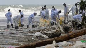 Vor der küste des südasiatischen inselstaates sri lanka brennt ein containerschiff mit chemikalien an bord. Nach Schiffsungluck Vor Sri Lanka Tote Fische Und Schildkroten