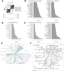 Neuron Glia Interaction Through Serotonin Bdnf Ngfr Axis