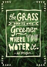 The Grass Is Always Greener On The Other Side Of The Septic Tank This Saying Is Oh So True No One And I Mean No One Can Break Up A Happy Home If It S Truly A Happy Home Words Quotes Inspirational Words Words